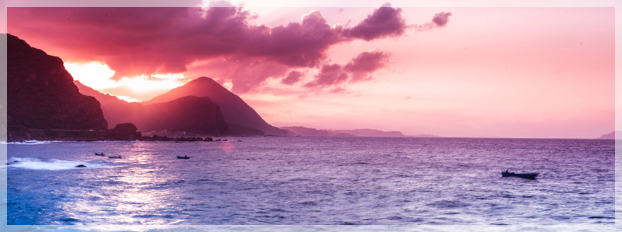 東京ではペット葬儀を扱う寺院があります